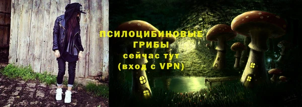 соль ск Няндома