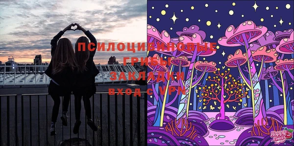 МДМА Новодвинск