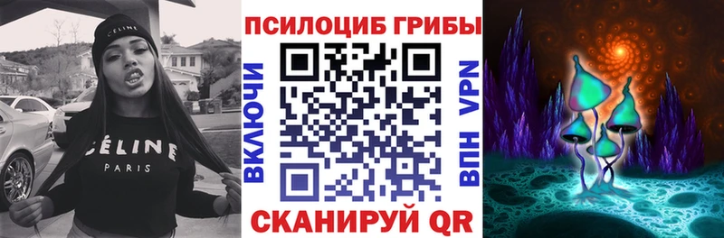 Псилоцибиновые грибы Psilocybine cubensis  Красный Кут 