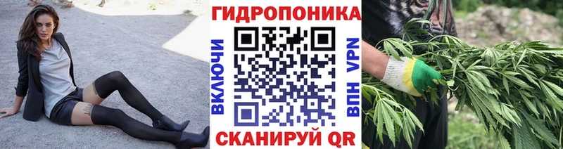 Каннабис VHQ  МЕГА зеркало  мориарти Telegram  Красный Кут 